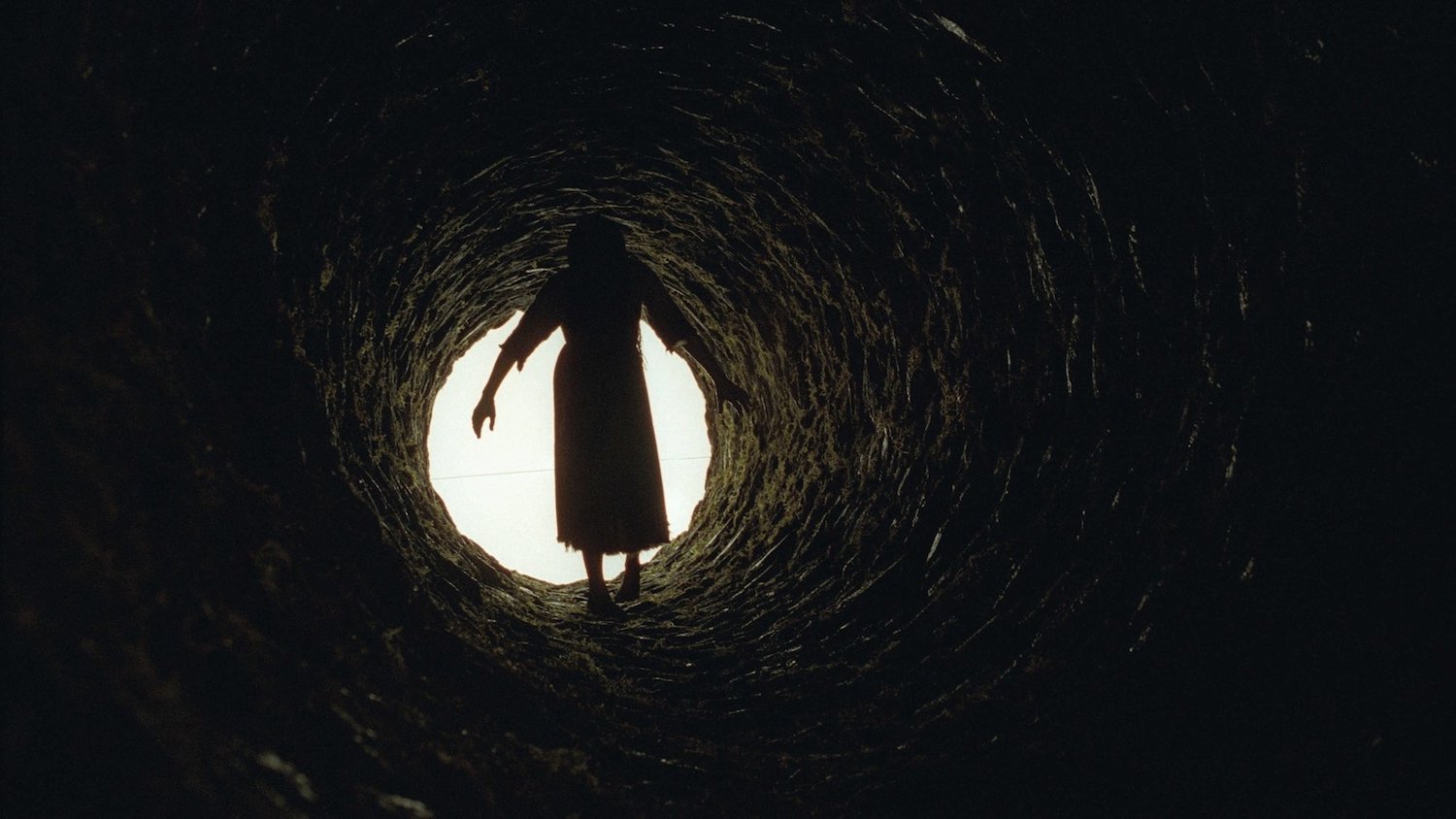 Le Cercle The Ring Ddl Vostfr